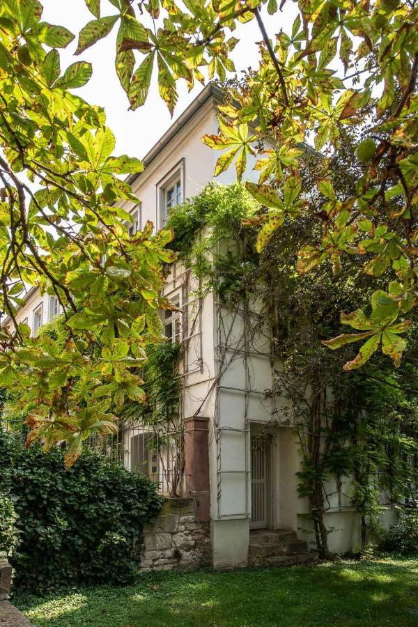 Ferienwohnung Am Dom II Naumburg  Ngoại thất bức ảnh